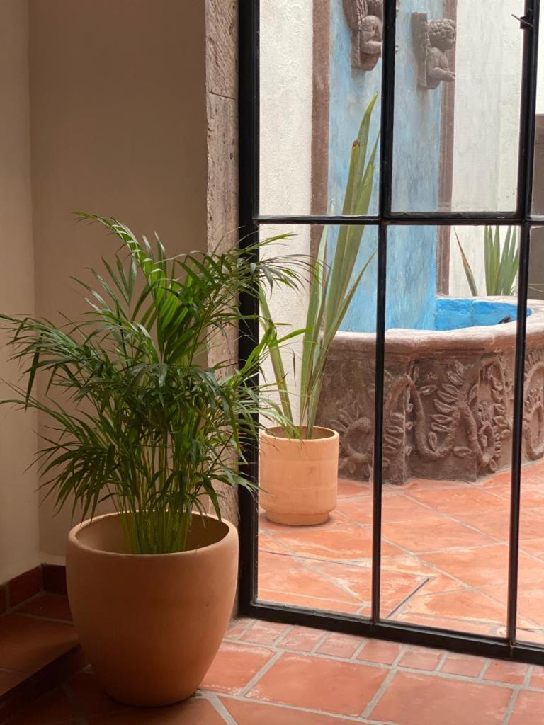 Casa Laberinto San Miguel de Allende Exterior foto